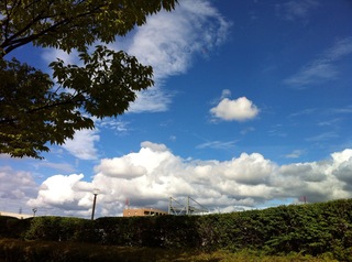 2013-09-08 15.31.00.jpg