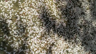 IMG_20190415_2.jpg