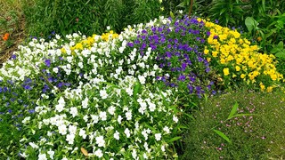IMG_20190608_105123.jpg