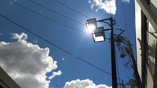IMG_20190805_134924.jpg