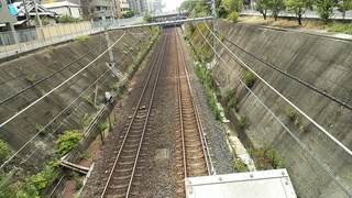 IMG_20190901_115952.jpg