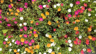 IMG_20190907_091236.jpg