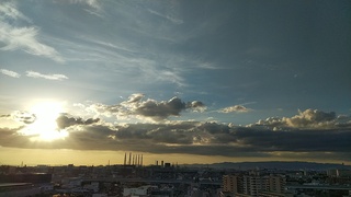 IMG_20190908_172953.jpg