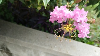 IMG_20191003_090946.jpg