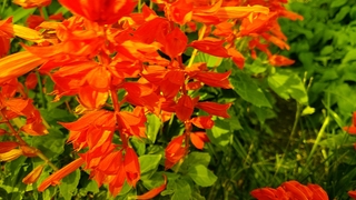 IMG_20191110_103322.jpg