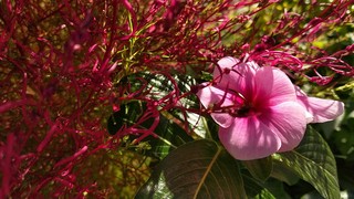 IMG_20191121_134317.jpg