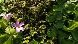 IMG_20191121_134448.jpg