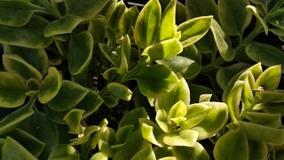 IMG_20191121_134542.jpg