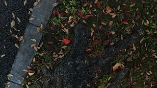 IMG_20191123_144416.jpg