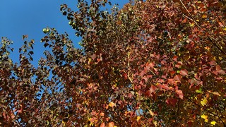 IMG_20191201_090943.jpg