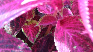 P_20191103_100535.jpg