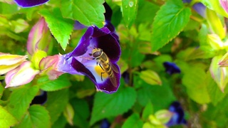 P_20191103_102646.jpg